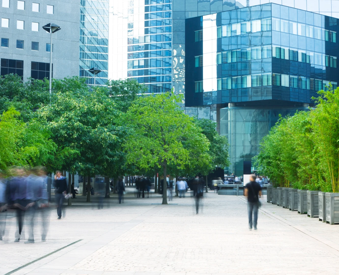 遠雄廠商辦聯合官網